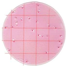 Image of Coliform Count Plate