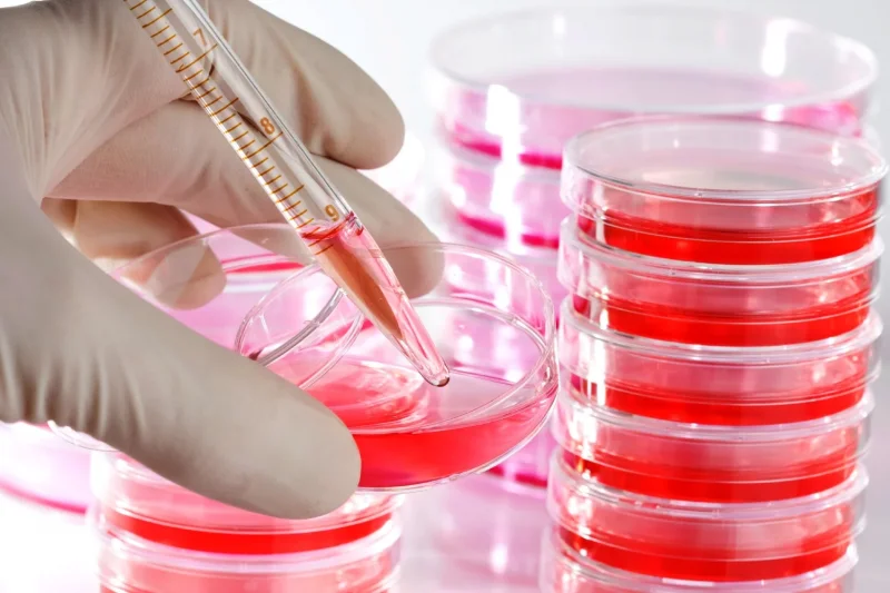 Image of Petri Dishes 90 x 15mm Plastic B/500