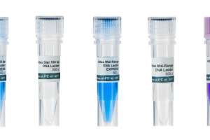100bp plus DNA Ladder 
