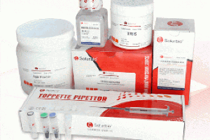 100ml DNase/RNase-Free Water